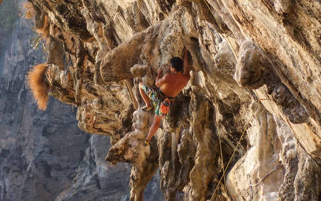 Rock Climbing Tonsai
