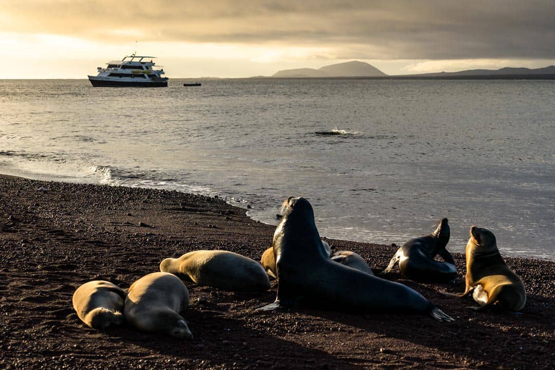 Letty Galapagos Islands Ecoventura Itinerary B Review