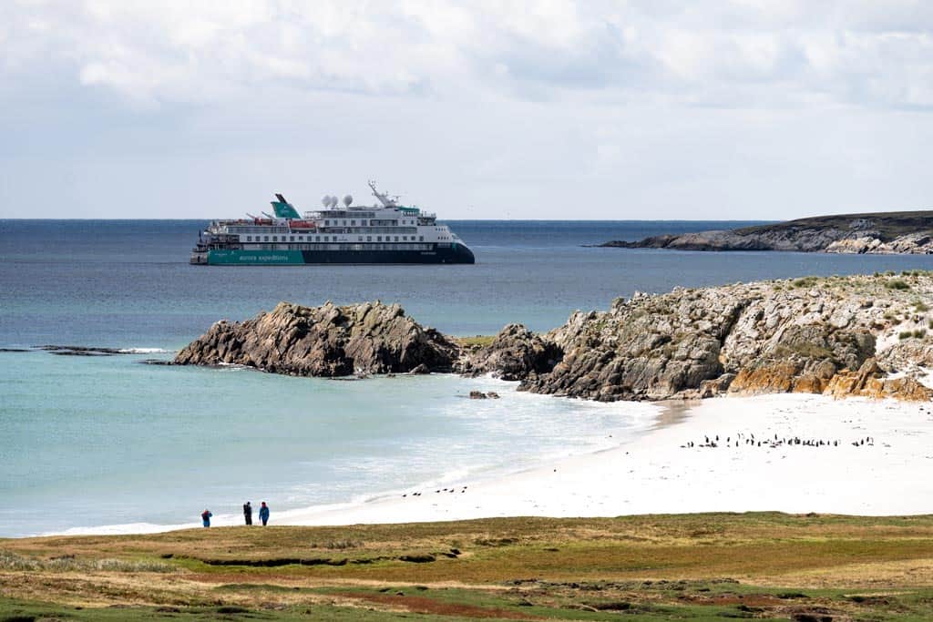 Kidney Cove Falkland Islands