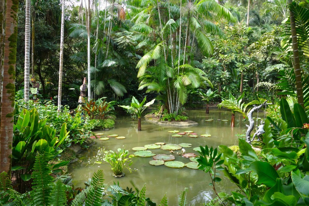 The Botanical Gardens Backpacking In Singapore On A Budget