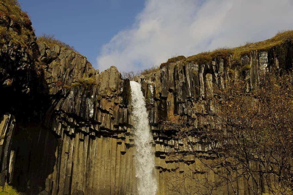 Svartifoss What To Do In Iceland