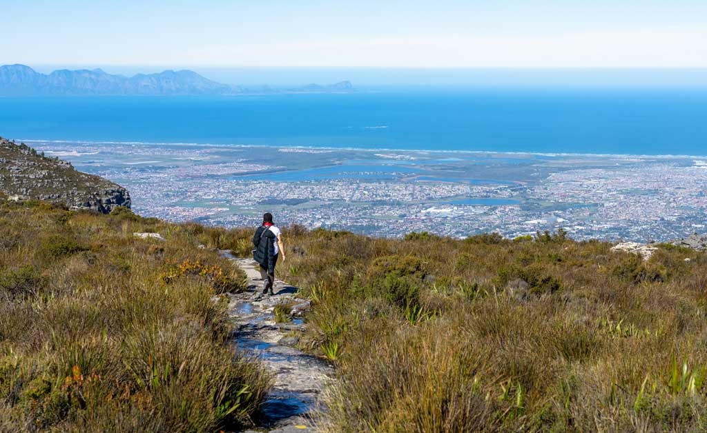 Table Mountain Day Tour