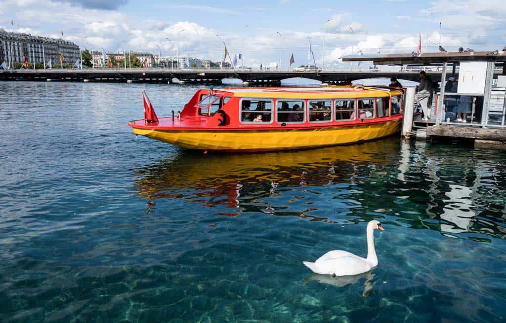 Taxi Boat And Swans Things To Do In Geneva