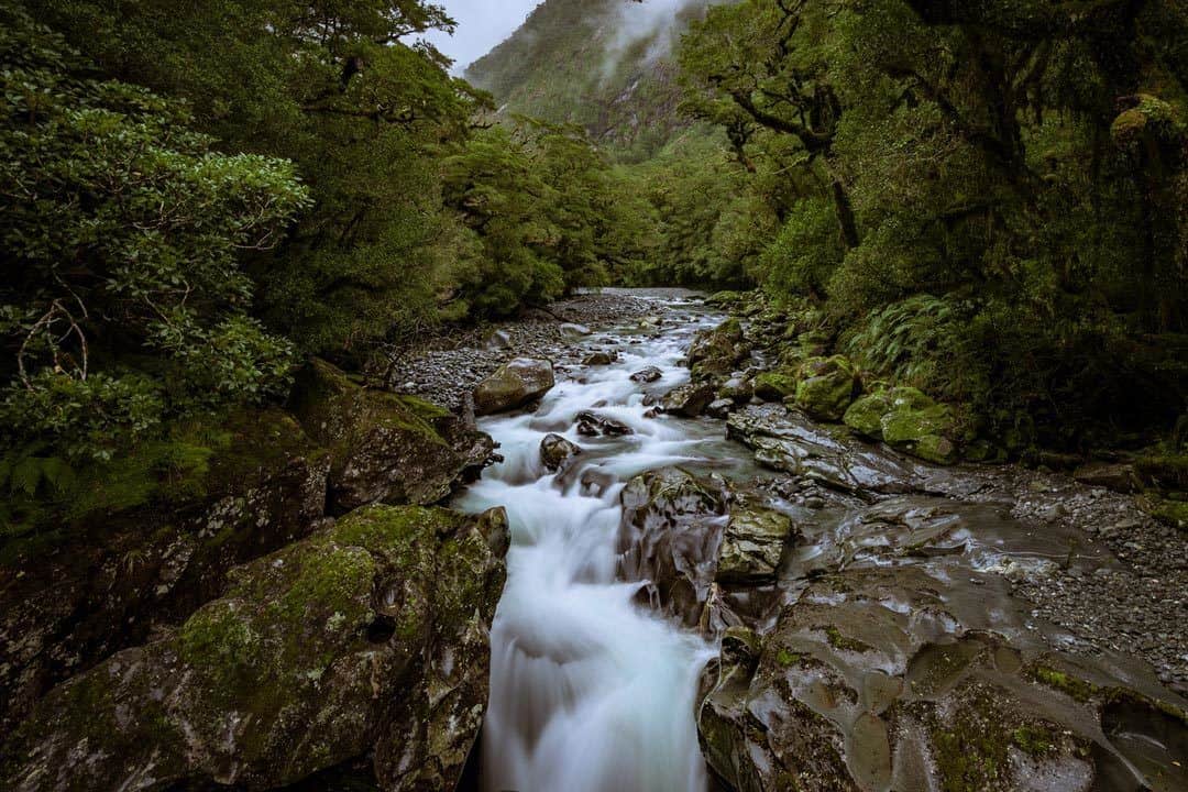The Chasm Milford Sound