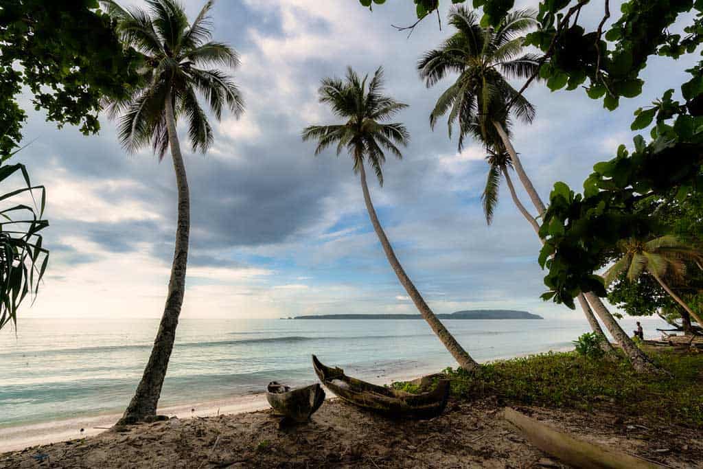 Moody Sunrise Santa Catalina Boats Palm Trees