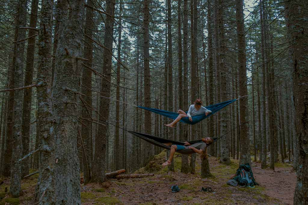 Hammocks In Woods