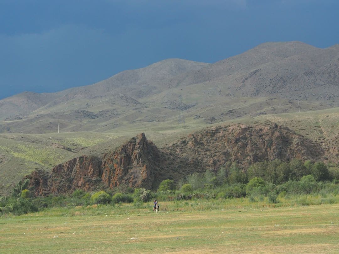 Two Young Boys And A Donkey In Kyrgyzstan