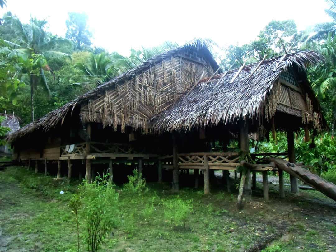 Mentawai Tribe