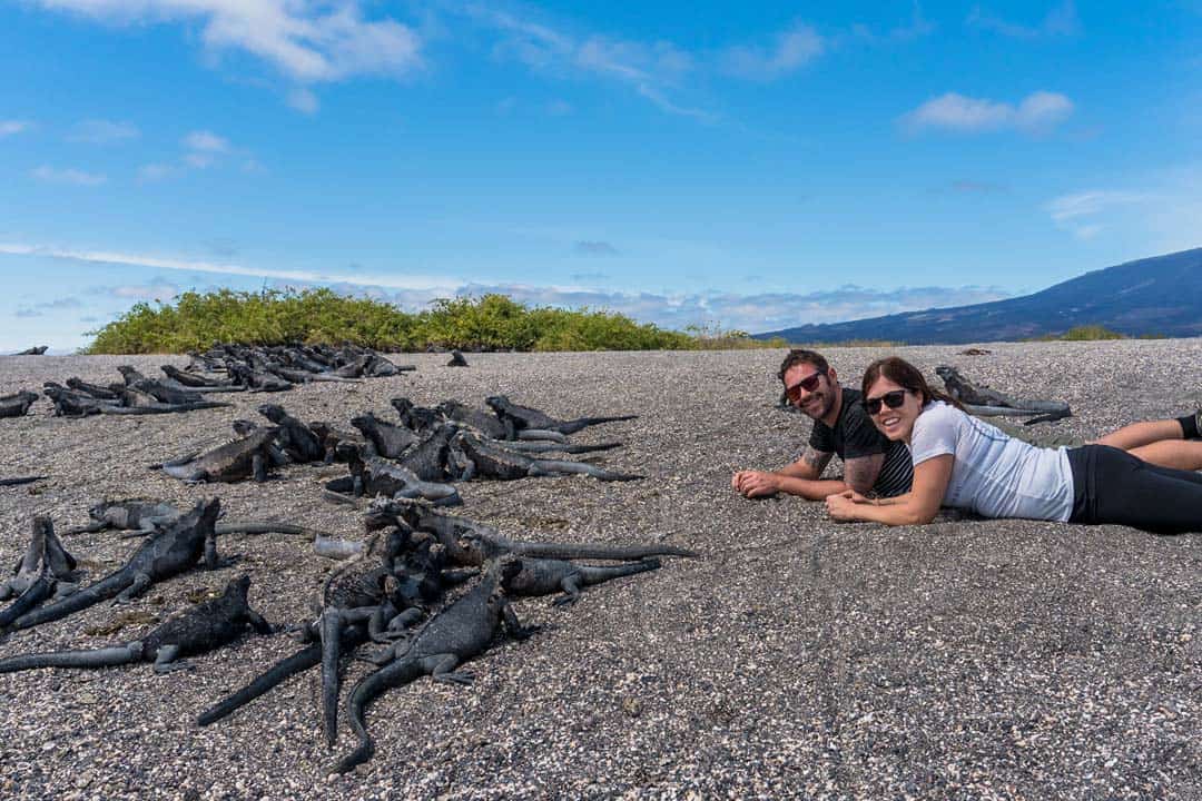 Marine Iguanas Letty Galapagos Islands Ecoventura Itinerary B Review