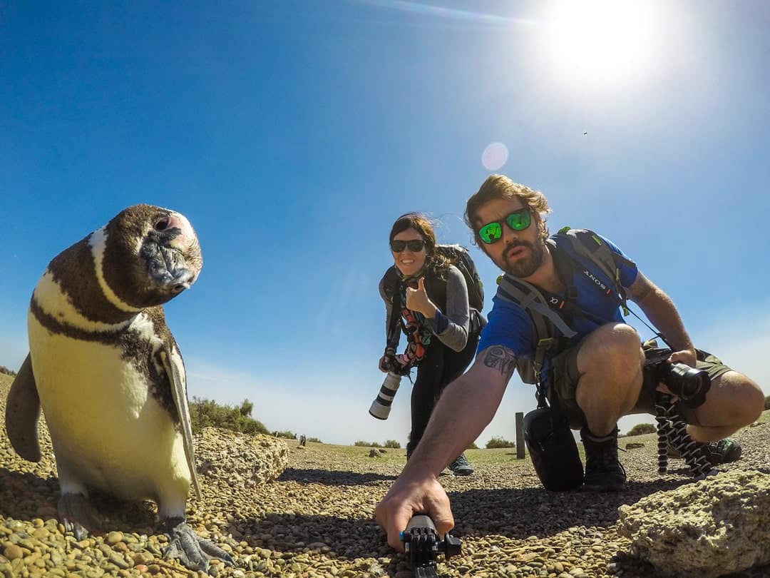 Penguin Selfie Things To Do In Puerto Madryn