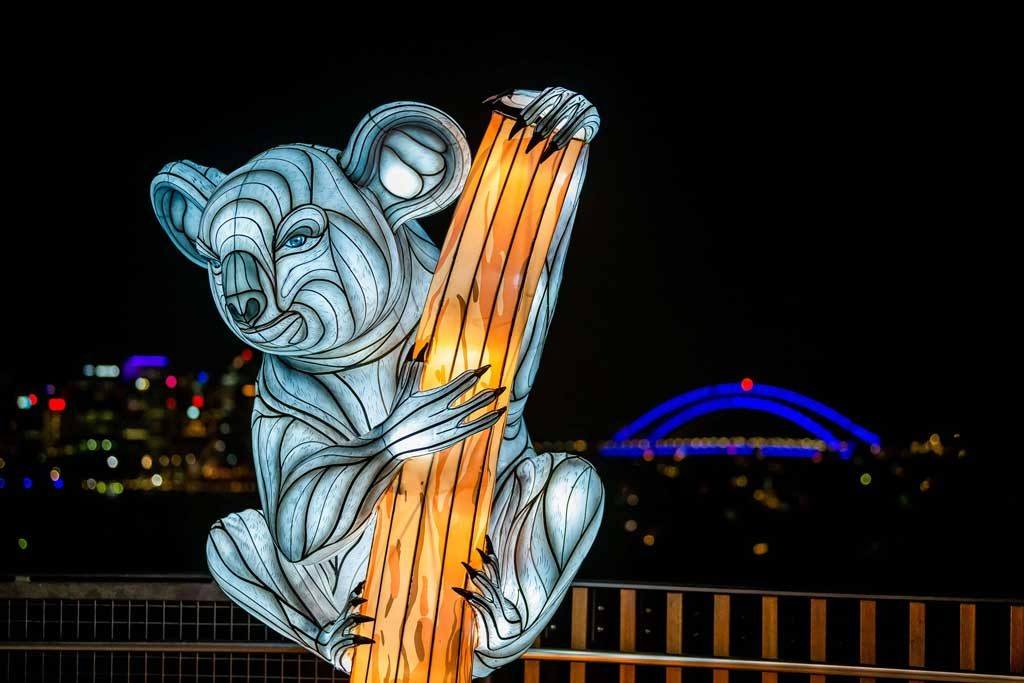 Taronga Zoo Vivid Sydney