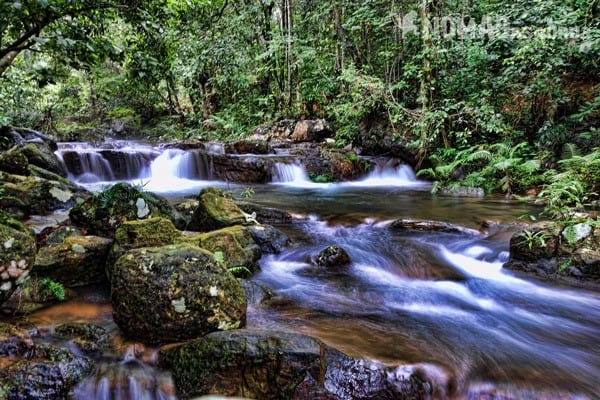 Gio Waterfall Pool Things To Do Phong Nha Hai's Eco Conservation Tour Vietnam