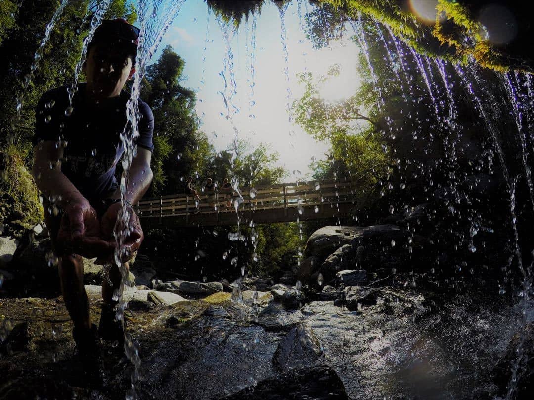 Franz Josef Waterfall