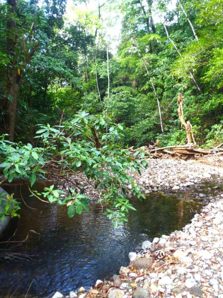 A Nice Waterhole. Canyoning In El Salvador