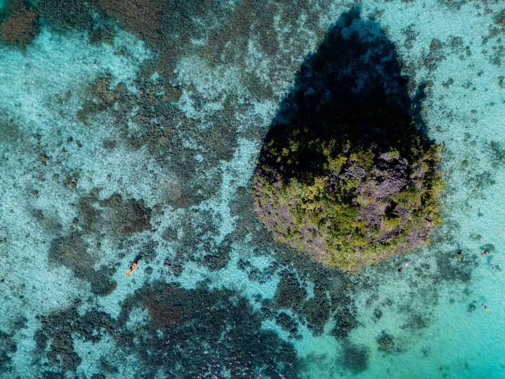 Drone Shot Of The Coral And Kayaker From Above.