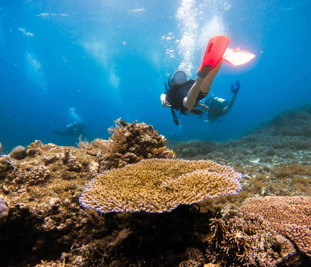 Scuba Diver In Water