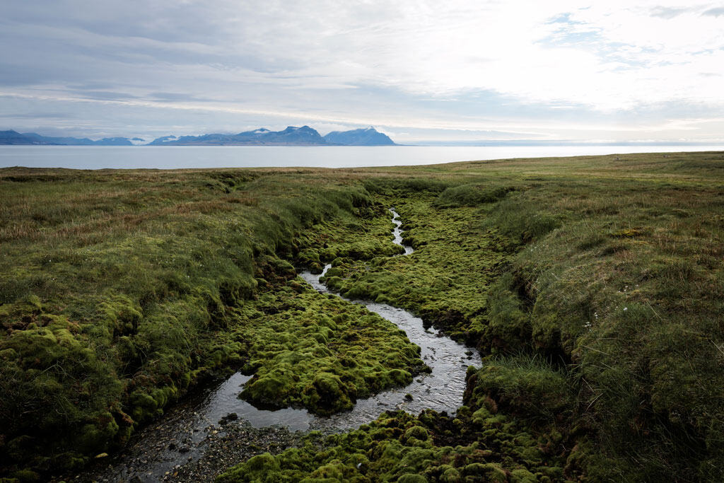 Winding Creek Alkhornet Svalbard