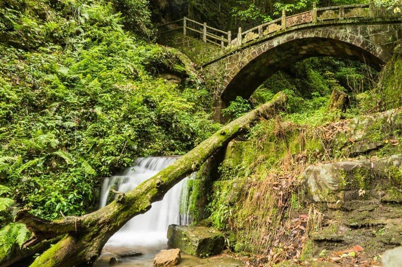 Zhangjiajie National Forest Park Avatar Mountains China