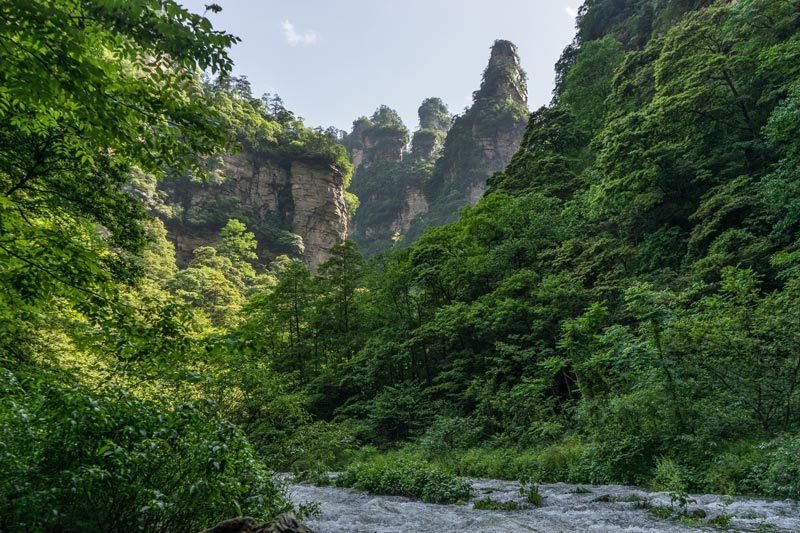Golden Whip Brook Zhangjiajie National Park Avatar Mountains China