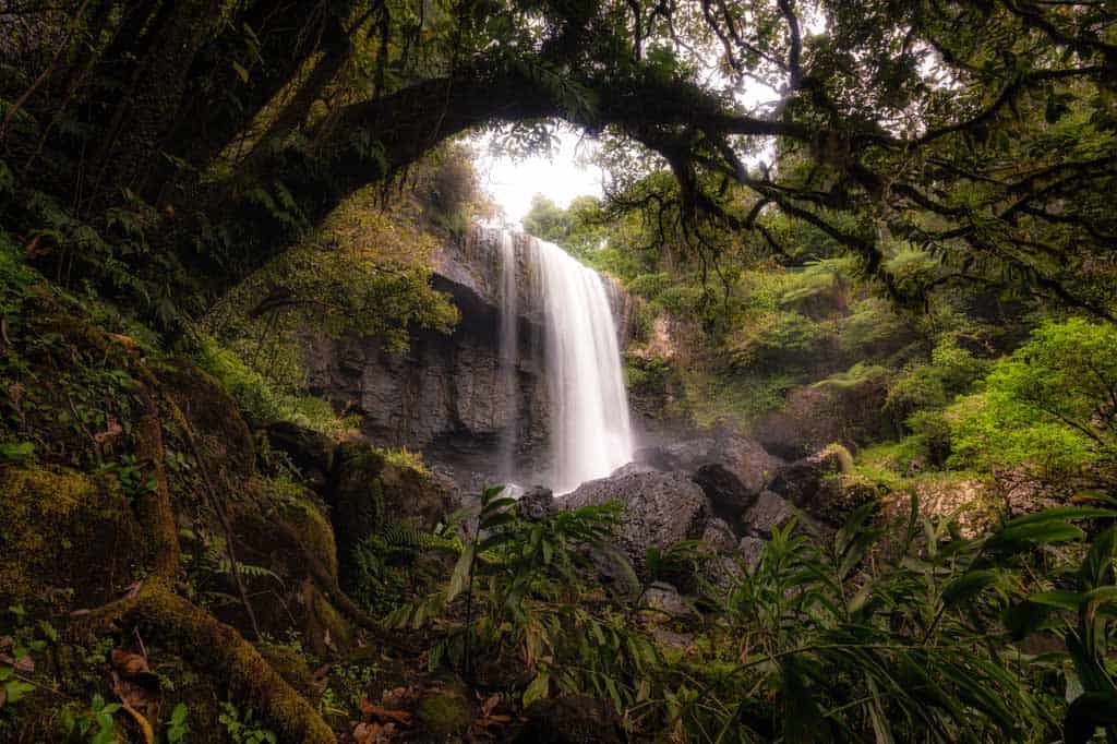 Zillie Falls Atherton Tablelands Cairns Day Trips